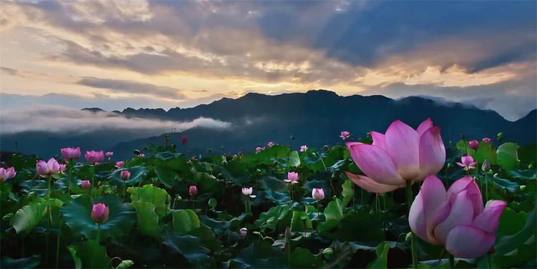 槍林企管分享：領(lǐng)導(dǎo)，你做的合格嗎？